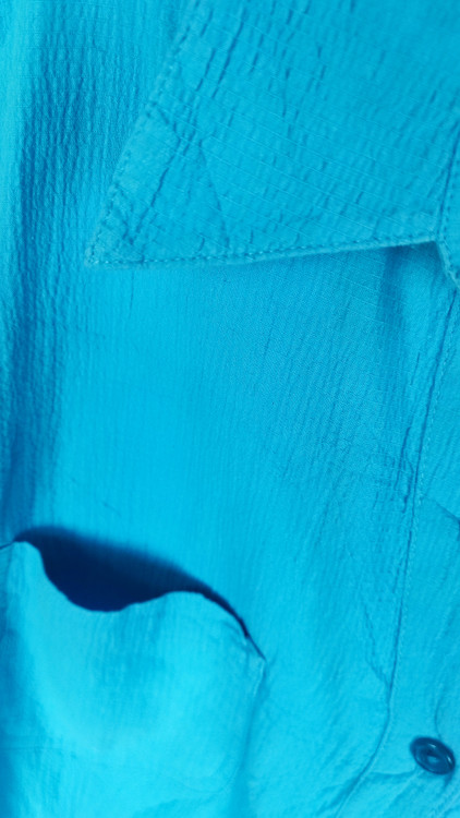 زن با شومیز آبی روشن آستینکوتاه و دکمهدار، دارای یقه برگردان، ایستاده در پسزمینه روشن