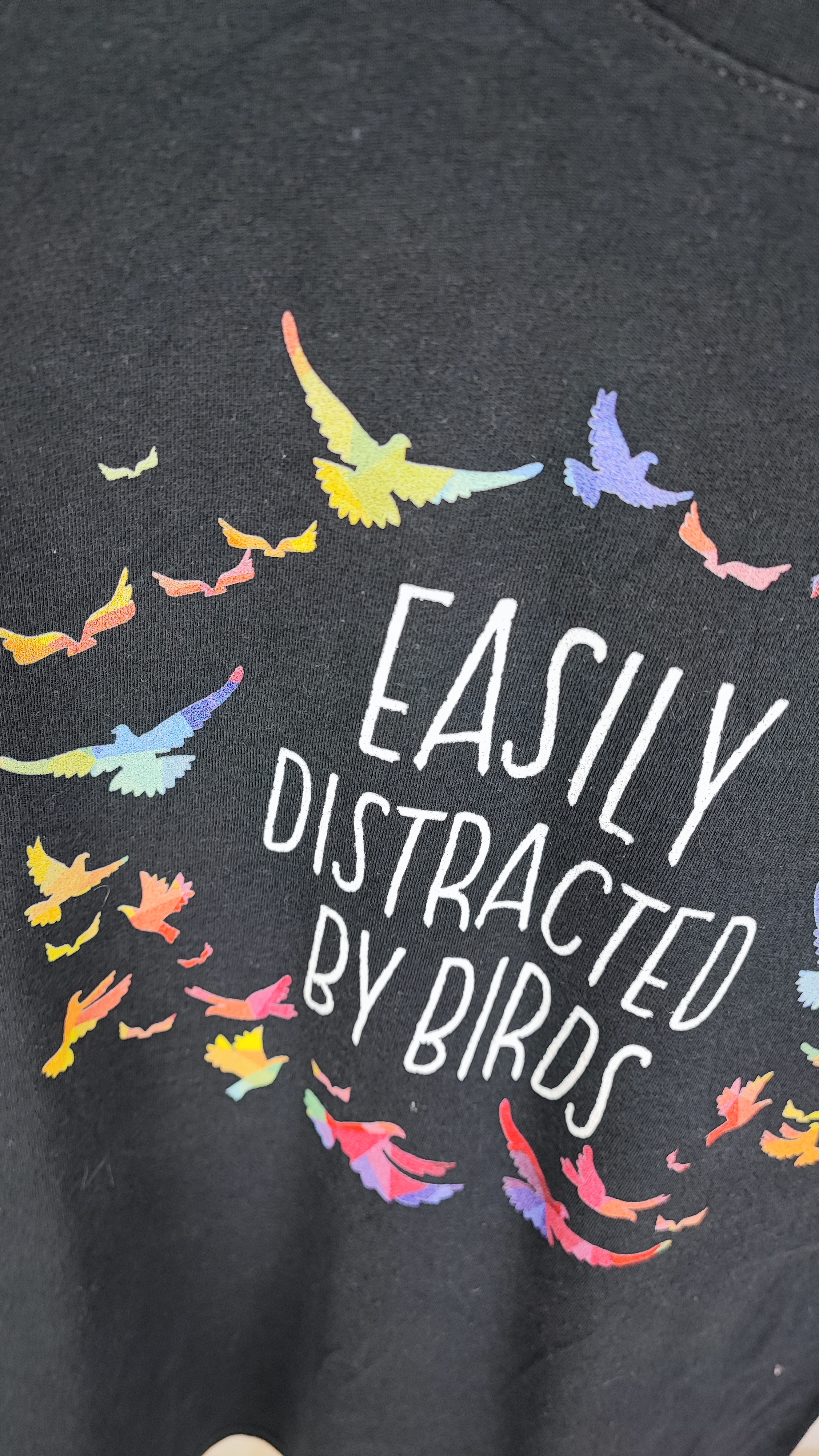 تیشرت زنانه استوک سورمهای مارک Port & Company با طرح نوشته "Easily Distracted By Birds" و پرندگان رنگی، مناسب سایز 40 تا