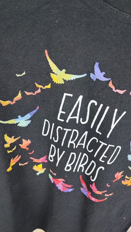 تیشرت زنانه استوک سورمهای مارک Port & Company با طرح نوشته "Easily Distracted By Birds" و پرندگان رنگی، مناسب سایز 40 تا