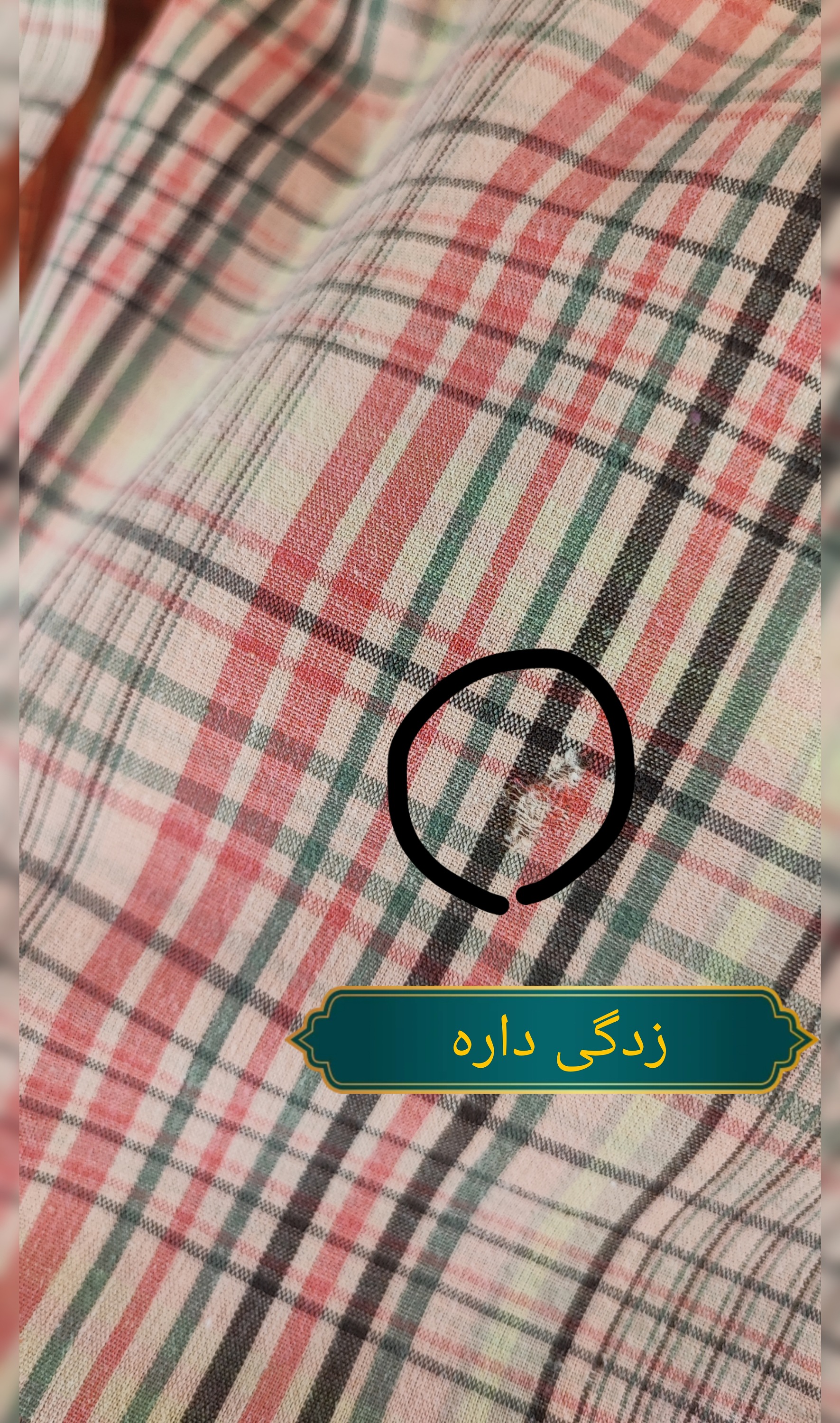 شومیز زنانه آستین کوتاه چهارخانه رنگ کرم نارنجی برند Southern Lady استوک وارداتی گرید