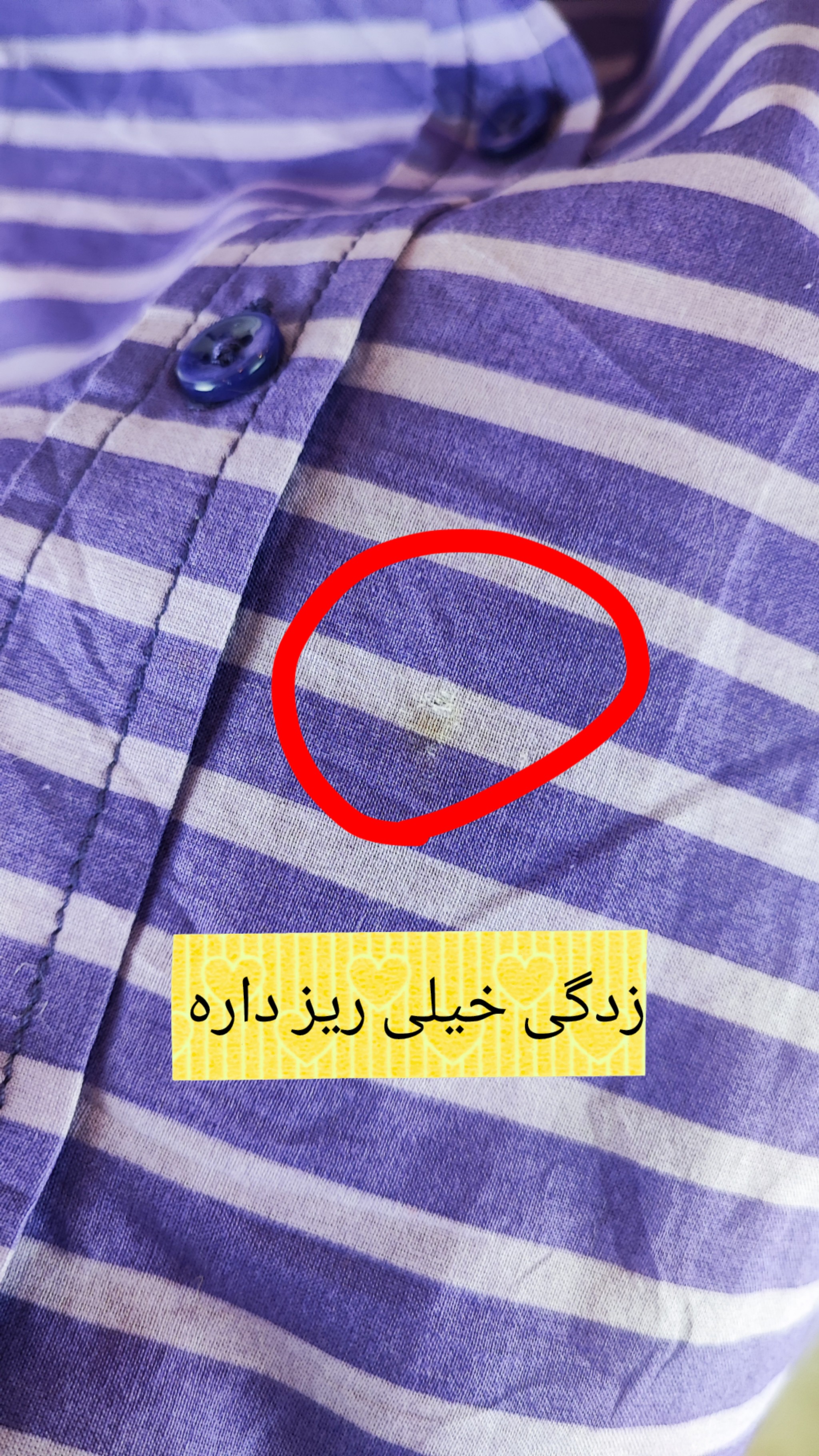 شومیز نخی راهراه زنانه برند Coldwater Creek کد ۲۸۶۷ مناسب سایز بزرگ، رنگ بنفش