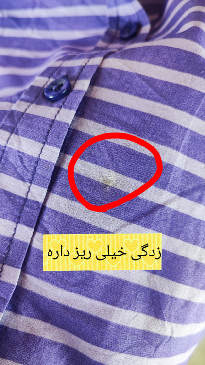 شومیز نخی راهراه زنانه برند Coldwater Creek کد ۲۸۶۷ مناسب سایز بزرگ، رنگ بنفش